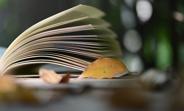 乡镇2025上半年总结下半年计划