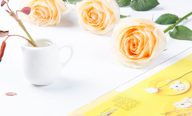 医院个人年终工作总结报告