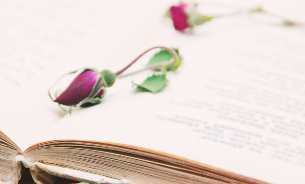 经理助理2023上半年总结