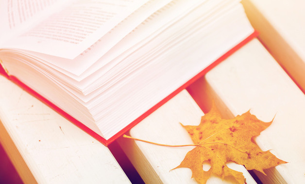 2025年助理年终总结