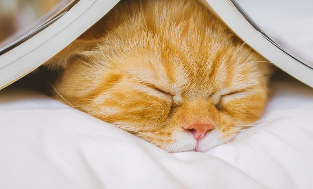 2023年地税局上半年总结