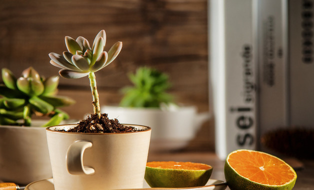 乡镇安全生产月活动工作总结