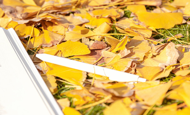 小学教师考核个人年终工作总结