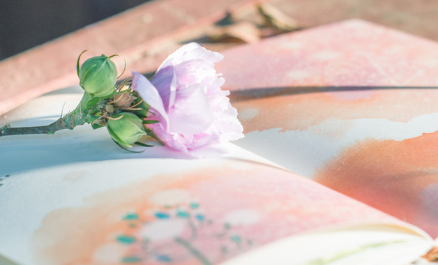 2023年上半年教师工作总结2500字