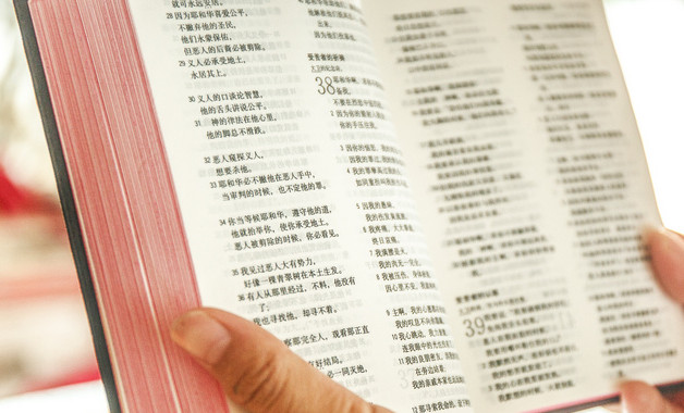 大学生个人实习总结