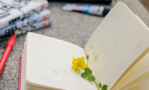 林业年终总结报告例文