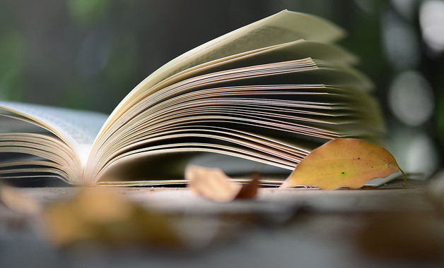 统计工作半年总结