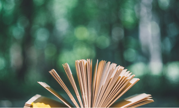 2023年教师师德培训工作总结