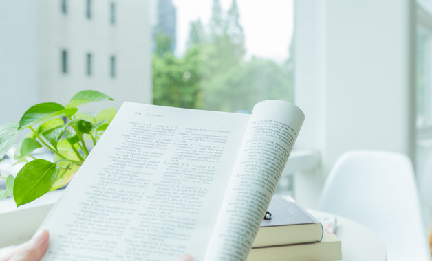 区司法局上半年工作总结2025