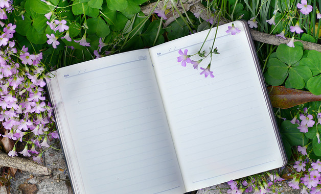 年底总结和工作计划