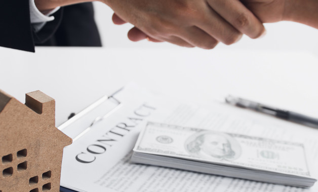 公司2025年半年度工作总结