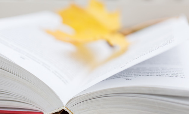 2023国土资源局第47个世界地球日宣传活动工作总结