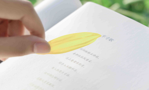 公司总经理个人年终总结