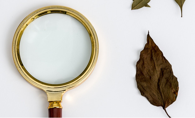 幼儿园教师个人学期工作总结