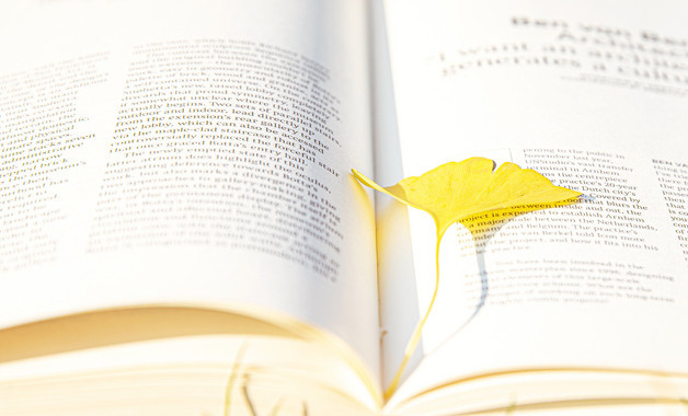 社区半年工作总结2025