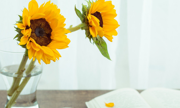 2025年办公室主任年度个人总结