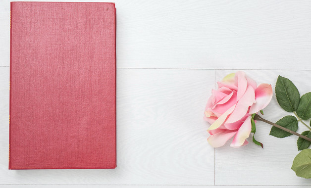 2023工作总结和2023年工作计划林业版