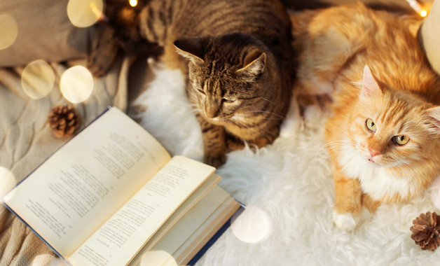 幼儿园保育员2023年度考核个人总结