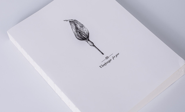 市统计局半年工作总结汇报