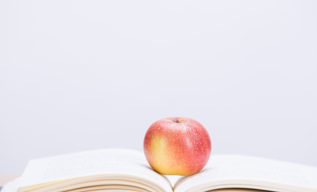 2023年小学班主任教学工作总结