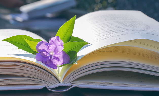 企业学习实践科学发展观工作总结