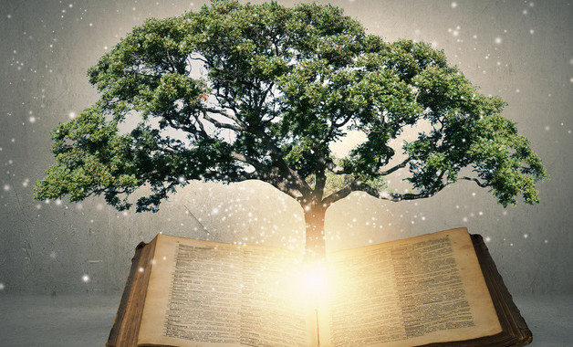 半年度工作总结