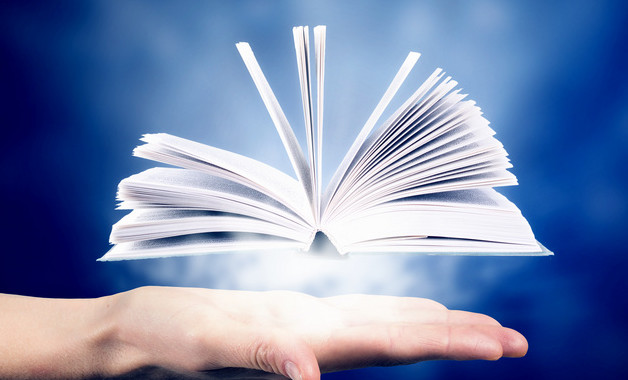 2025乡镇上半年总结及下半年计划