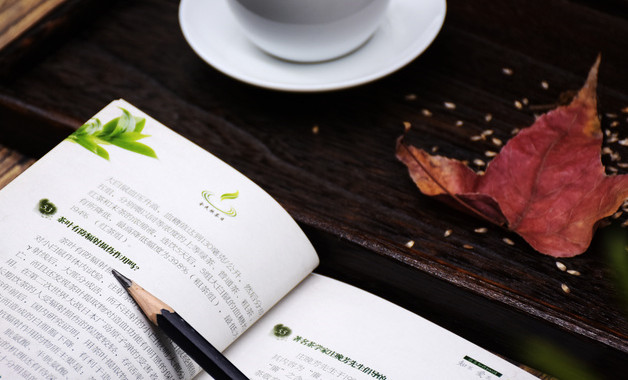 财务出纳年终总结