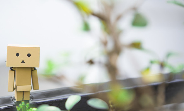 老人服务中心实习总结