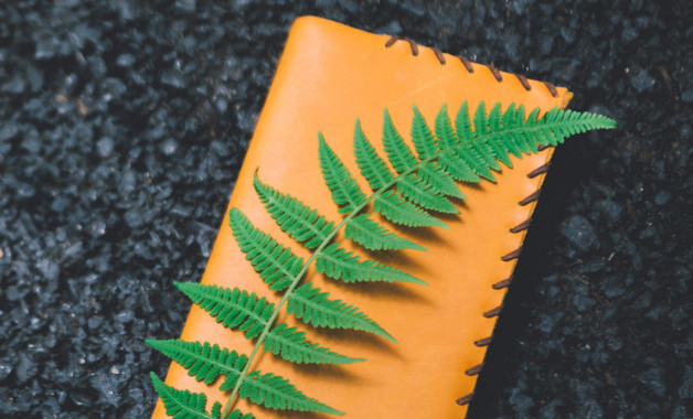 最新事业单位年度个人工作总结