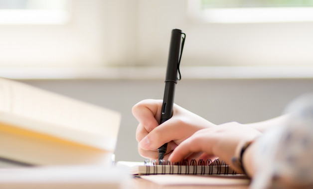 畜牧2023年上半年工作总结及下半年工作计划