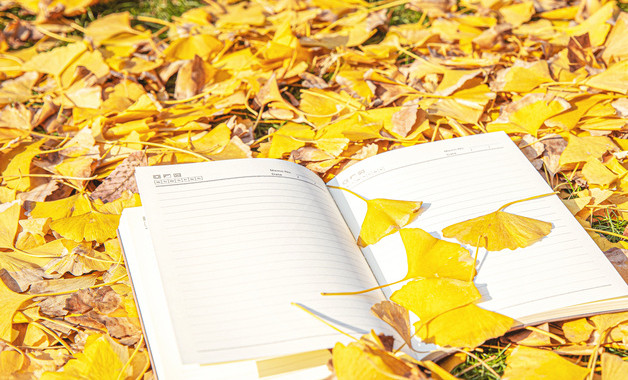 信息技术教师教学总结ppt模板