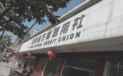 农村信用社半年工作总结