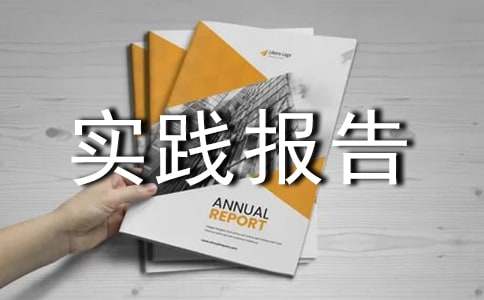 高中生社会实践报告15篇