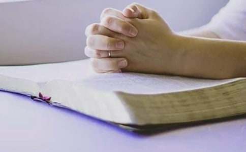 暑期社会实践个人总结最新